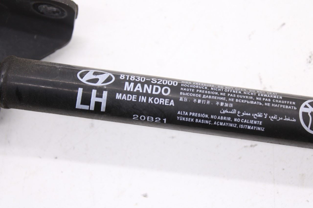 19-23 Hyundai Santa Fe SEL Rear Right and Left Liftgate Lift Support 81840-S2000 - Alshned Auto Parts