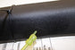 11-23 Dodge Charger GT AWD Front Right Passenger Door Sill Panel 1KL46DX9AG OEM - Alshned Auto Parts