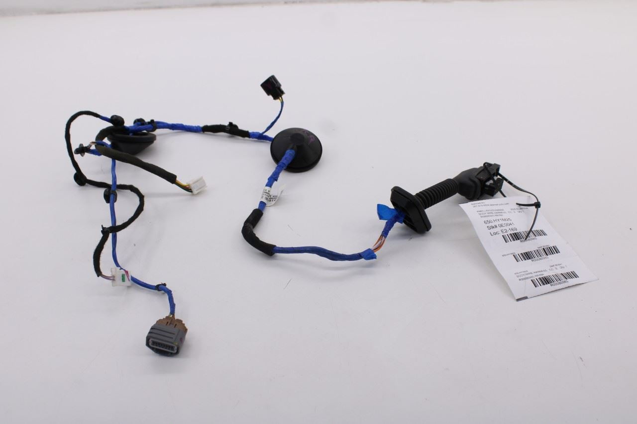 2021-2025 Hyundai Elantra SE Rear Right Side Door Wire Harness 91630-AA010 OEM0