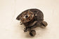 2022-2025 Hyundai Tucson SEL Rear Right Side Spindle Knuckle Hub 52711-N9200 OEM - Alshned Auto Parts