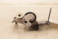2023-26 Acura Integra A-Spec 1.5L Serpentine Belt Tensioner Pulley 31170-59B-015 - Alshned Auto Parts