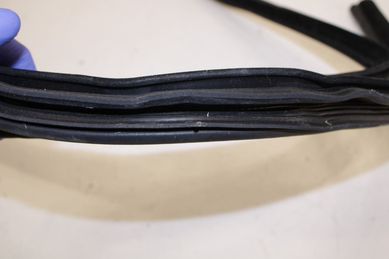 2011-2023 Dodge Charger GT AWD Rear Right Door Weatherstrip On Body 1KW36DX9AI - Alshned Auto Parts