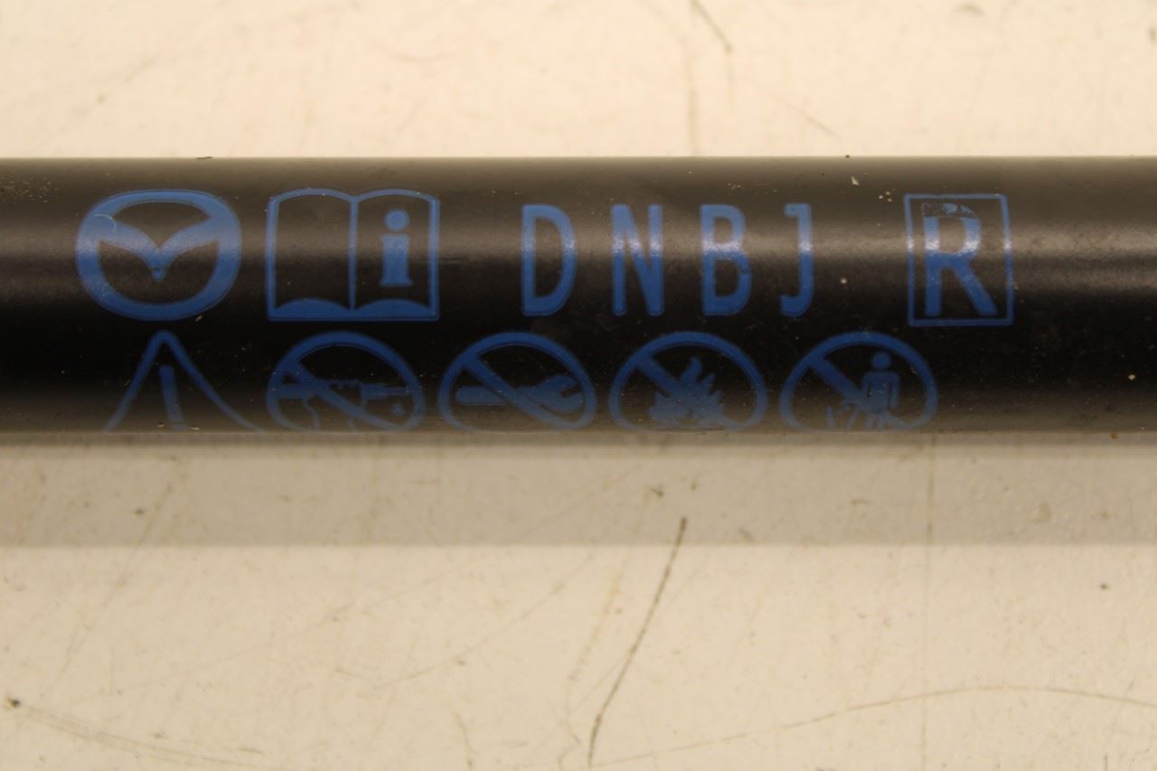 2024-2025 Mazda CX-30 2.5 S Right and Left Side Liftgate Support Cylinder Strut - Alshned Auto Parts