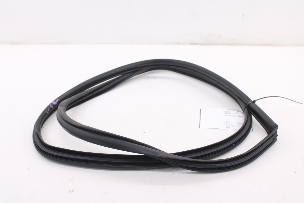 2019-25 Toyota Corolla LE Front Left Side Door Weatherstrip On Body 62312-023315