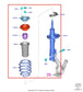 18-21 Ford EcoSport SE FWD Front Suspension Driver LH Side Shock Strut Absorber - Alshned Auto Parts