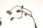 2019 Ford Ecosport SE Rear Bumper Wire Harness with Park Sensors GN15-15K868-DUD - Alshned Auto Parts