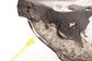 97-04 Chevrolet Corvette LH Lower Door Opening Trim Rocker Panel 10444701 *ReaD* - Alshned Auto Parts
