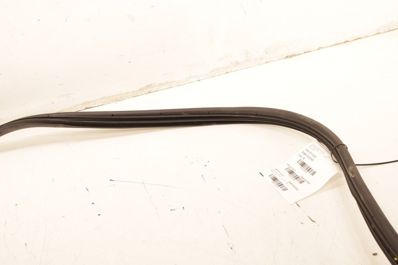 22-25 Hyundai Tucson SEL Front Right Side Door Weatherstrip On Body 82120-CW000 - Alshned Auto Parts