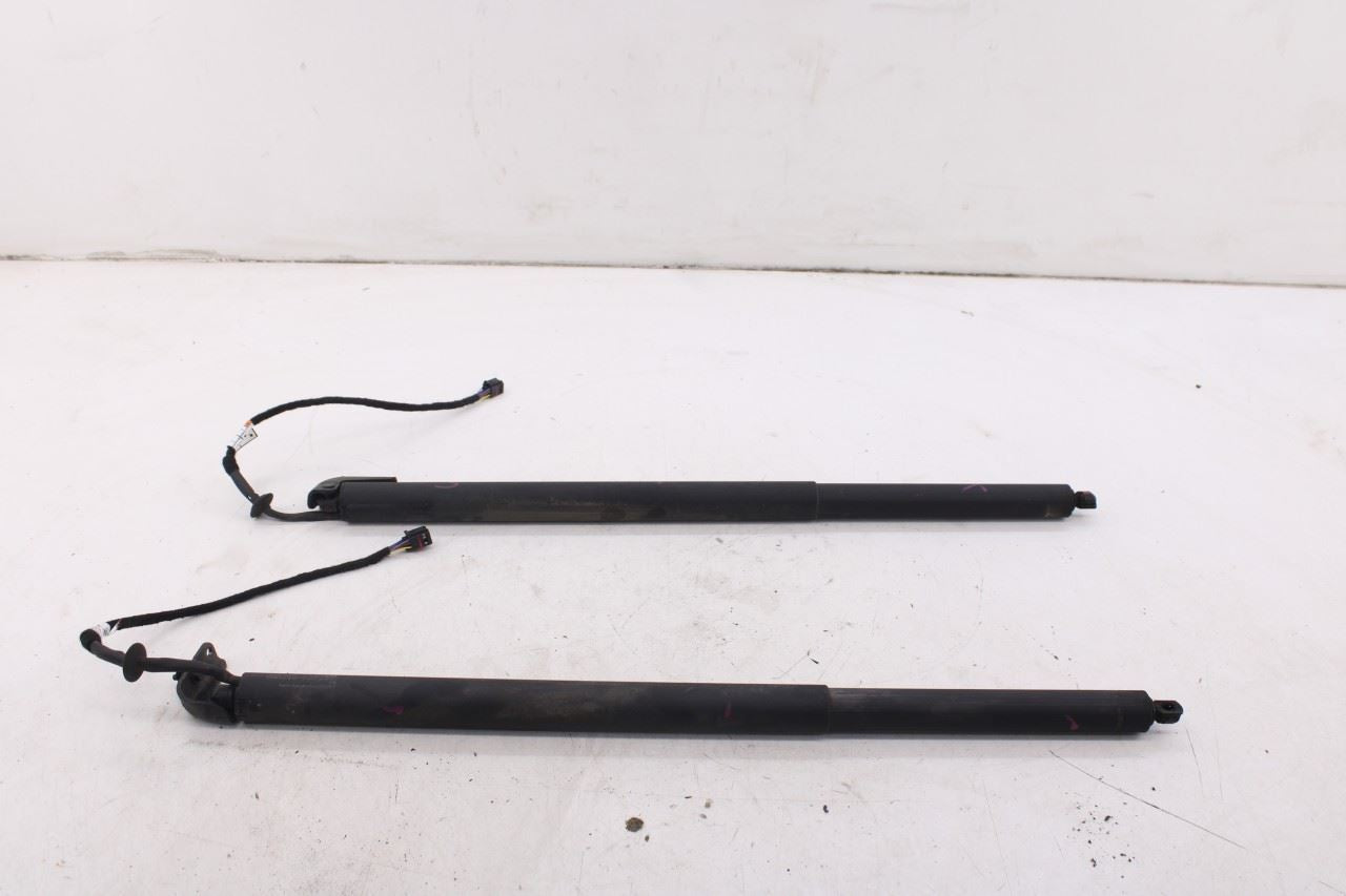 2019-25 Infiniti QX50 ESSENTIAL Rear Right and Left Liftgate Lift Cylinder Strut - Alshned Auto Parts