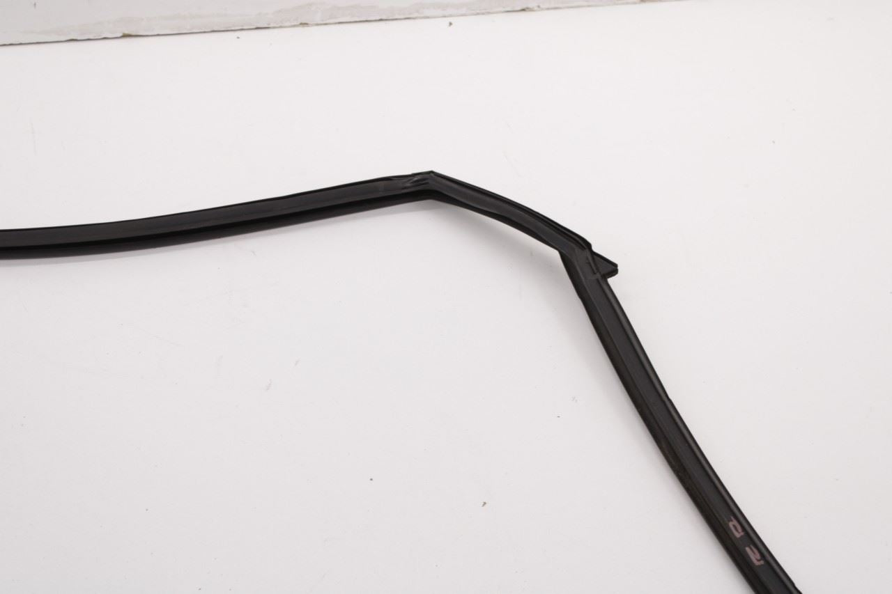 2013-2019 Nissan Sentra SL Rear Right Door Run Channel with Belt Outer Molding - Alshned Auto Parts
