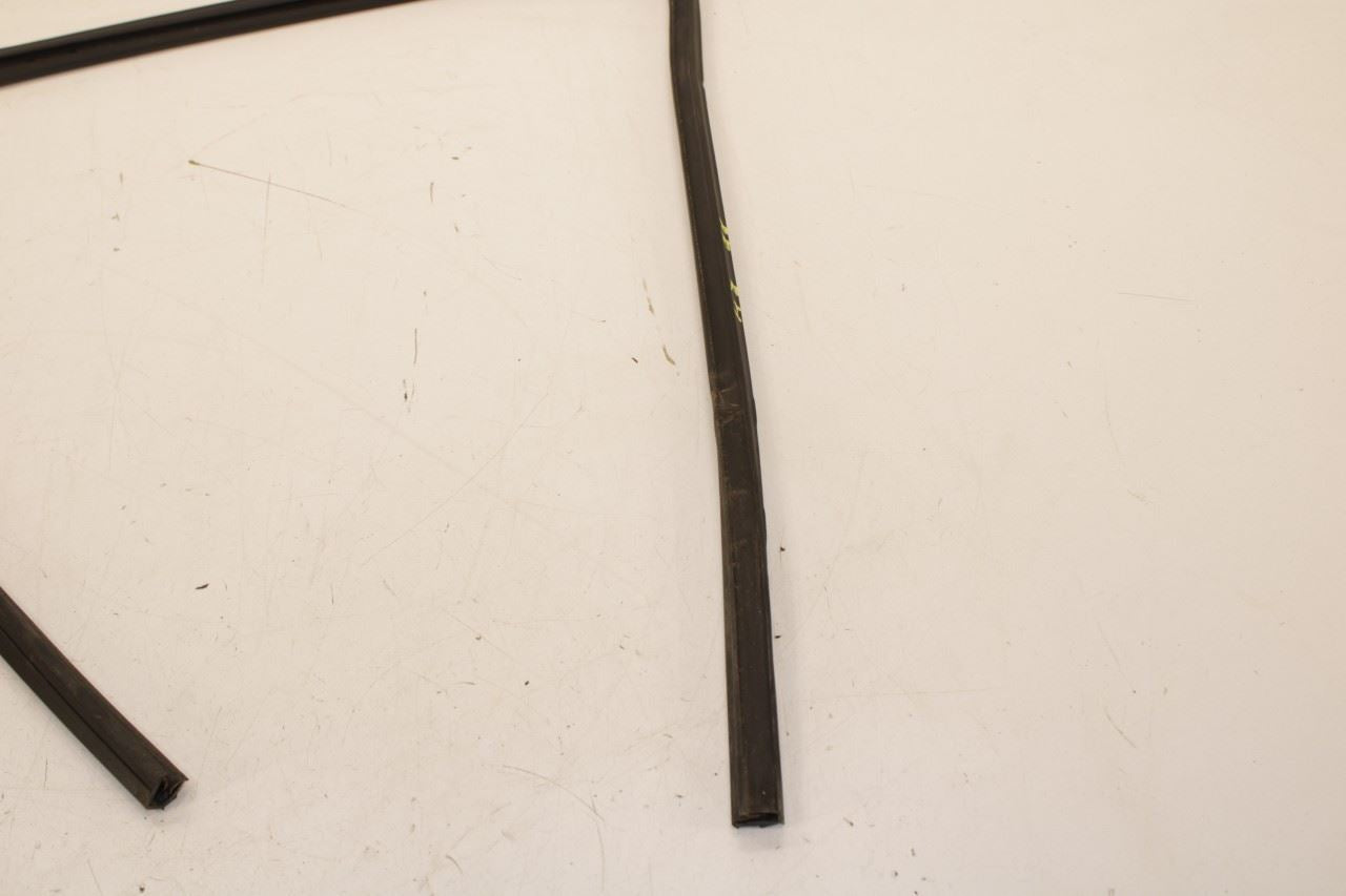 2014-2020 Infiniti QX60 Pure Rear Right Door Run Channel with Belt Outer Molding - Alshned Auto Parts
