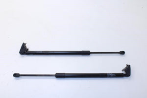2019-20 Nissan Pathfinder SV Rear Left and Right Liftgate Lift Support Cylinder