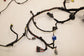 2014-2016 Maserati Ghibli S Q4 Rear Body Wire Harness w/ Fuse Box 670030497 OEM - Alshned Auto Parts