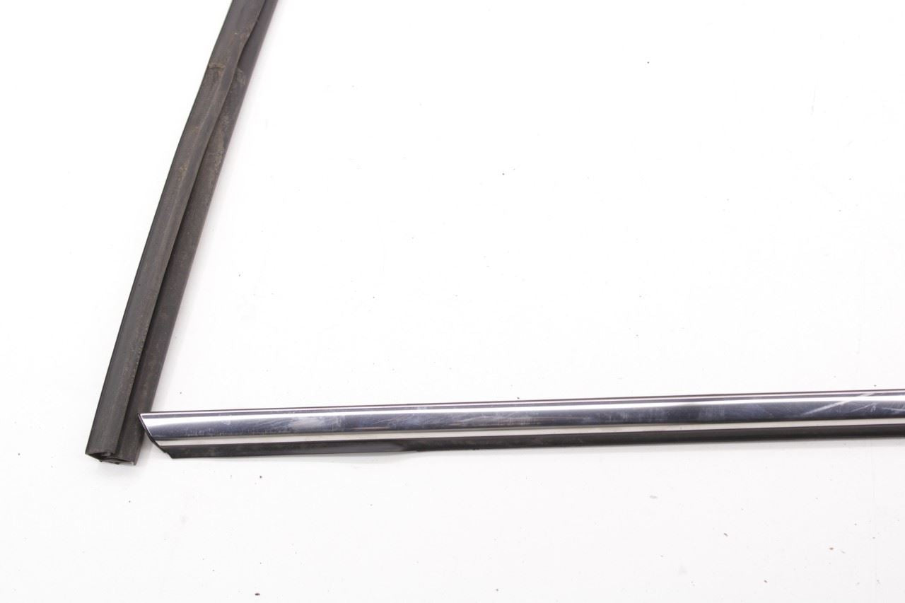 2013-2019 Nissan Sentra SL Rear Left Door Run Channel with Belt Outer Molding - Alshned Auto Parts