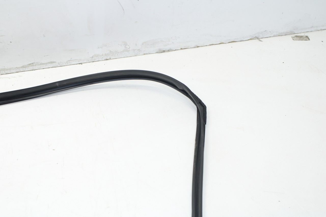 2013-2020 Lexus GS350 Front Left Door Window Run Channel with Belt Outer Molding - Alshned Auto Parts