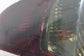 2009-2010 Acura TSX Rear Left Driver Side Tail Light Lamp 33550-TL0-A01 *ReaD* - Alshned Auto Parts
