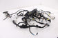 2024 Toyota Corolla LE Dash Instrument Panel Wire Wiring Harness 82145-F2F61 OEM8