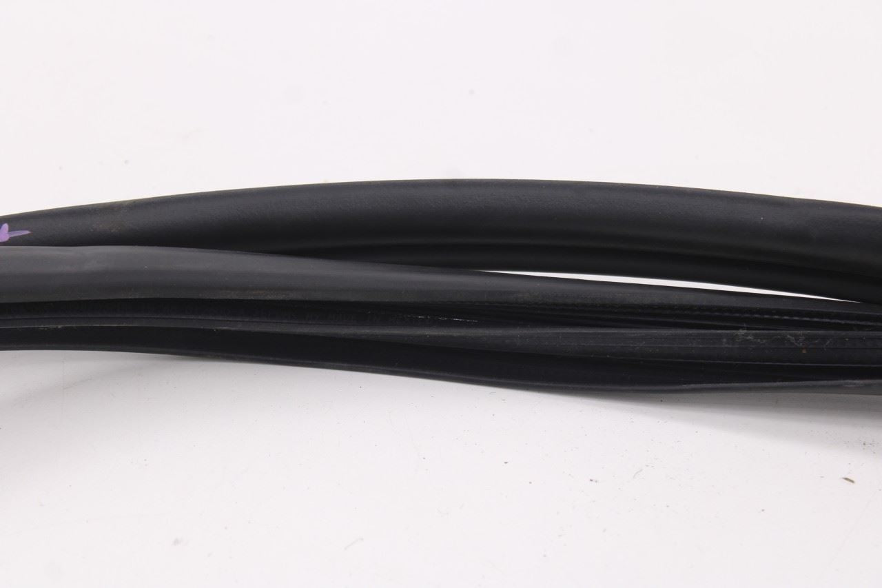 2019-25 Toyota Corolla LE Front Left Side Door Weatherstrip On Body 62312-023314