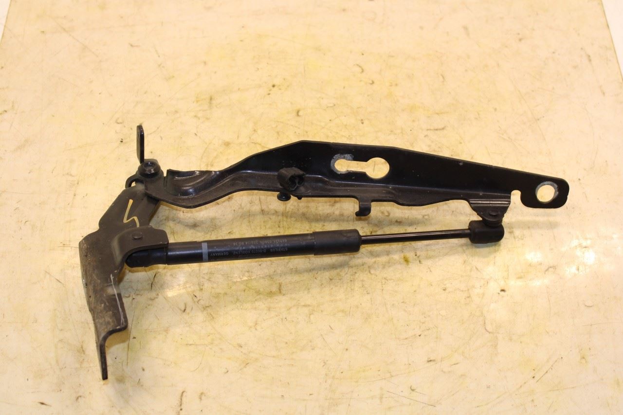 2015-2016 Volvo S60 T5 Premier Front Right and Left Side Hood Hinge Set 31385813 - Alshned Auto Parts