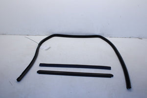 1999-16 Ford F250 Lariat Crew Cab Rear Left Door Run Channel w/ Weatherstrip Set