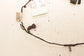2019 Ford Ecosport SE Rear Bumper Wire Harness with Park Sensors GN15-15K868-DUD - Alshned Auto Parts