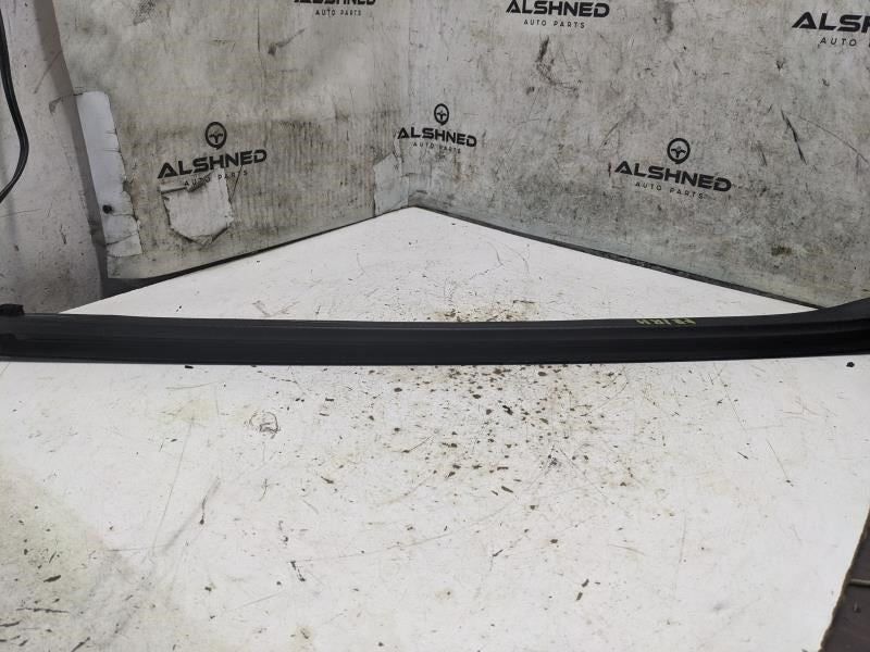 2013-2020 Ford Fusion Front Right Door Belt Weatherstrip DS7Z-5421456-A OEM - Alshned Auto Parts