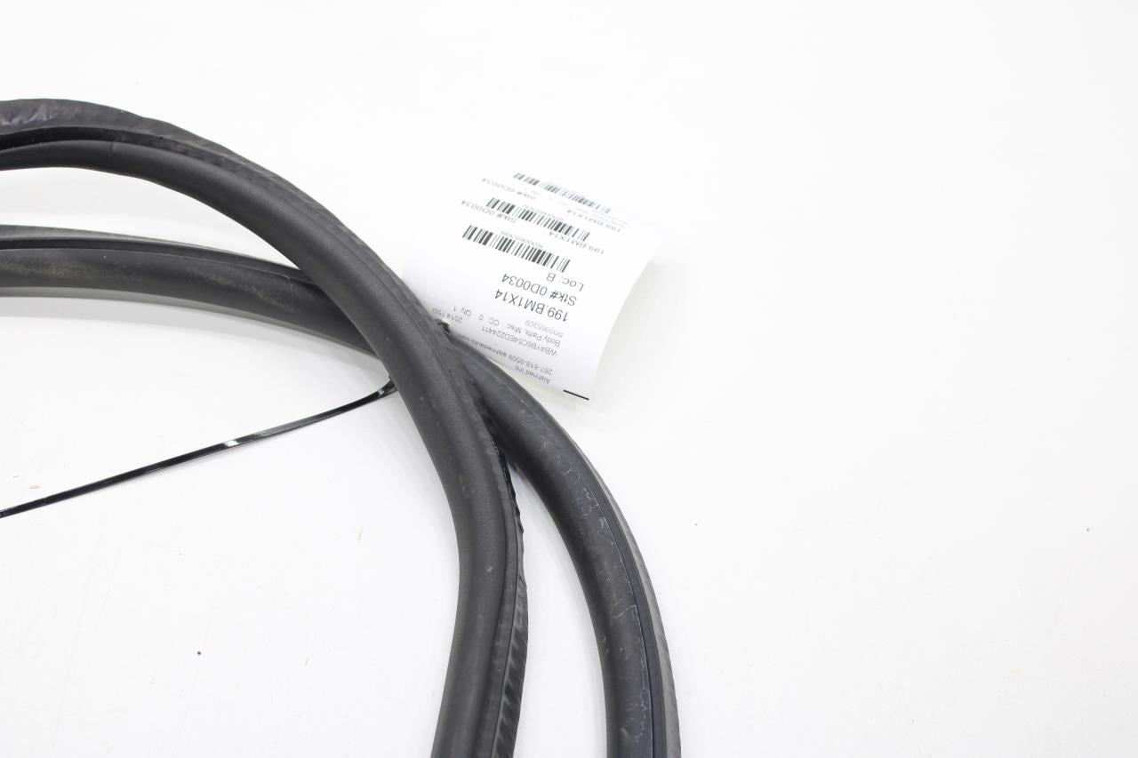 2010-15 BMW 750i xDrive Rear Left or Right Door Weatherstrip On Body 51727231341 - Alshned Auto Parts