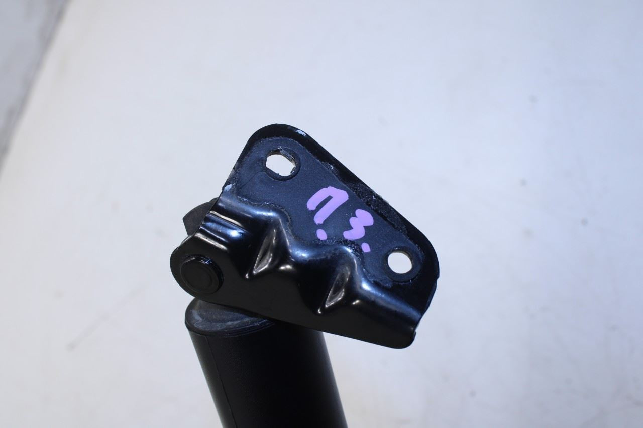 22-25 Hyundai Tucson SEL Rear RH and LH Tailgate Trunk Support Cylinder Strut - Alshned Auto Parts