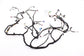 2022-2025 BMW 430i Gran Coupe xDrive Dash Instrument Panel Wire Harness 5A5F158 - Alshned Auto Parts