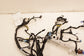 2025 Acura Integra A-Spec Dash Instrument Panel Wire Harness 77961-3S5-8D10 OEM - Alshned Auto Parts