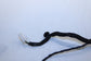 2013-2015 Ram 1500 Crew Cab Laramie Front Right Door Wire Harness 68160034AF OEM - Alshned Auto Parts