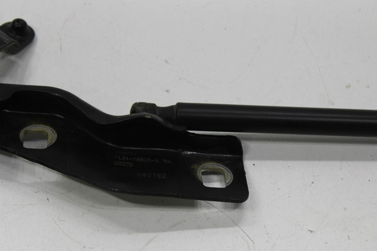 2015-20 Ford F150 Super Cab Lariat Front RH and LH Hood Hinge Set w/ Lift Struts - Alshned Auto Parts