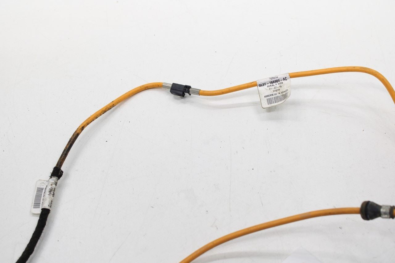 15-20 Ford F150 SuperCab Radio Antenna Mast Receiver w/ Cable GL3T-18A984-AC OEM - Alshned Auto Parts