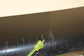 2010-2015 BMW 750LI xDrive Left Side Rocker Panel Molding 51777225923 OEM*ReaD* - Alshned Auto Parts