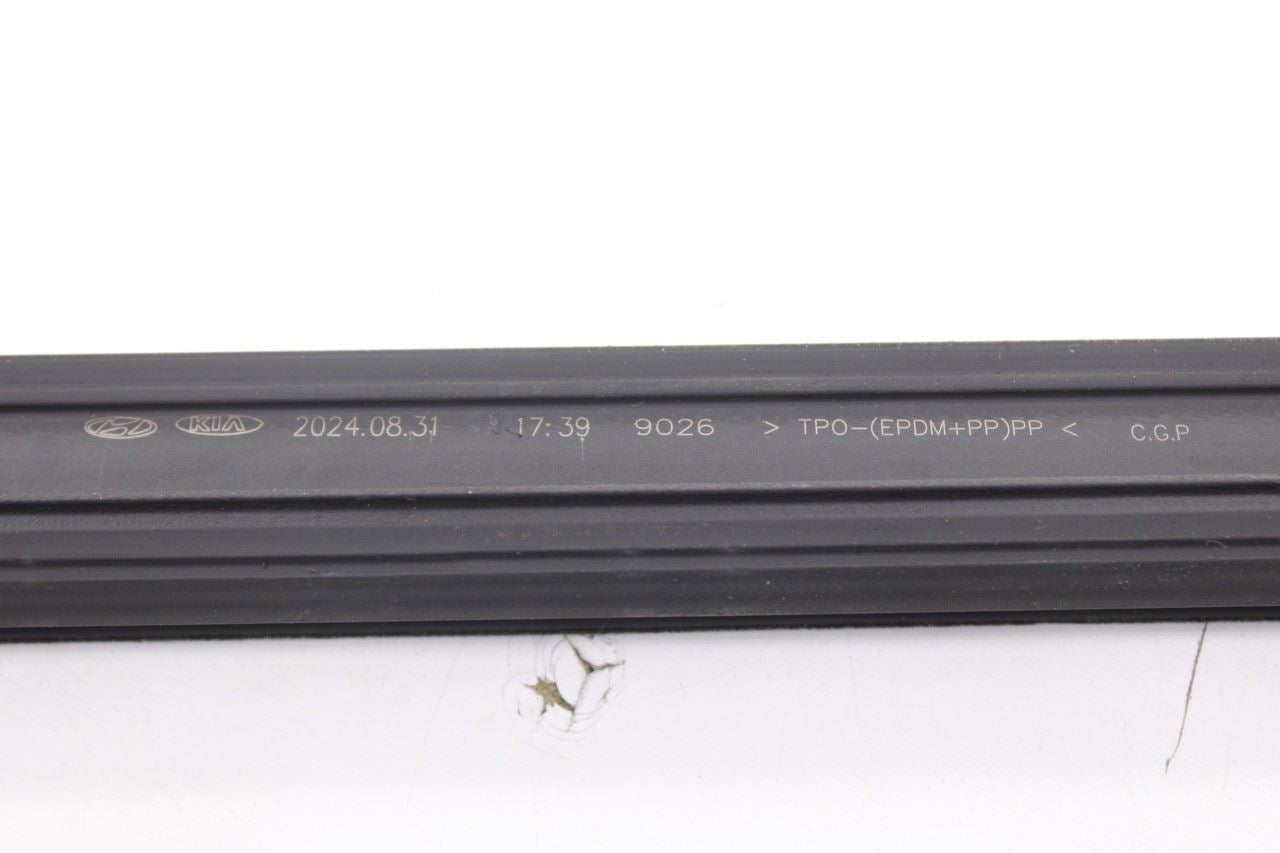 2021-2026 Hyundai Elantra SE Rear Left Door Belt Outer and Inner Weatherstrip14