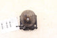 2016-2023 Toyota Tacoma Limited 3.5L 4x4 Front Left Side Engine Mount Insulator - Alshned Auto Parts
