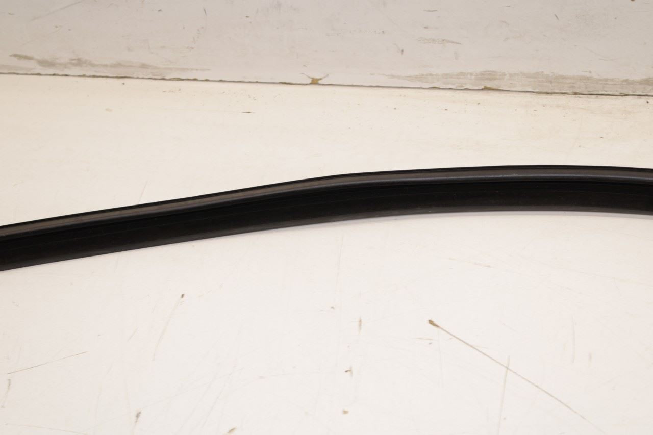 11-23 Dodge Charger GT AWD Front Right Door Run Channel with Belt Weatherstrips - Alshned Auto Parts