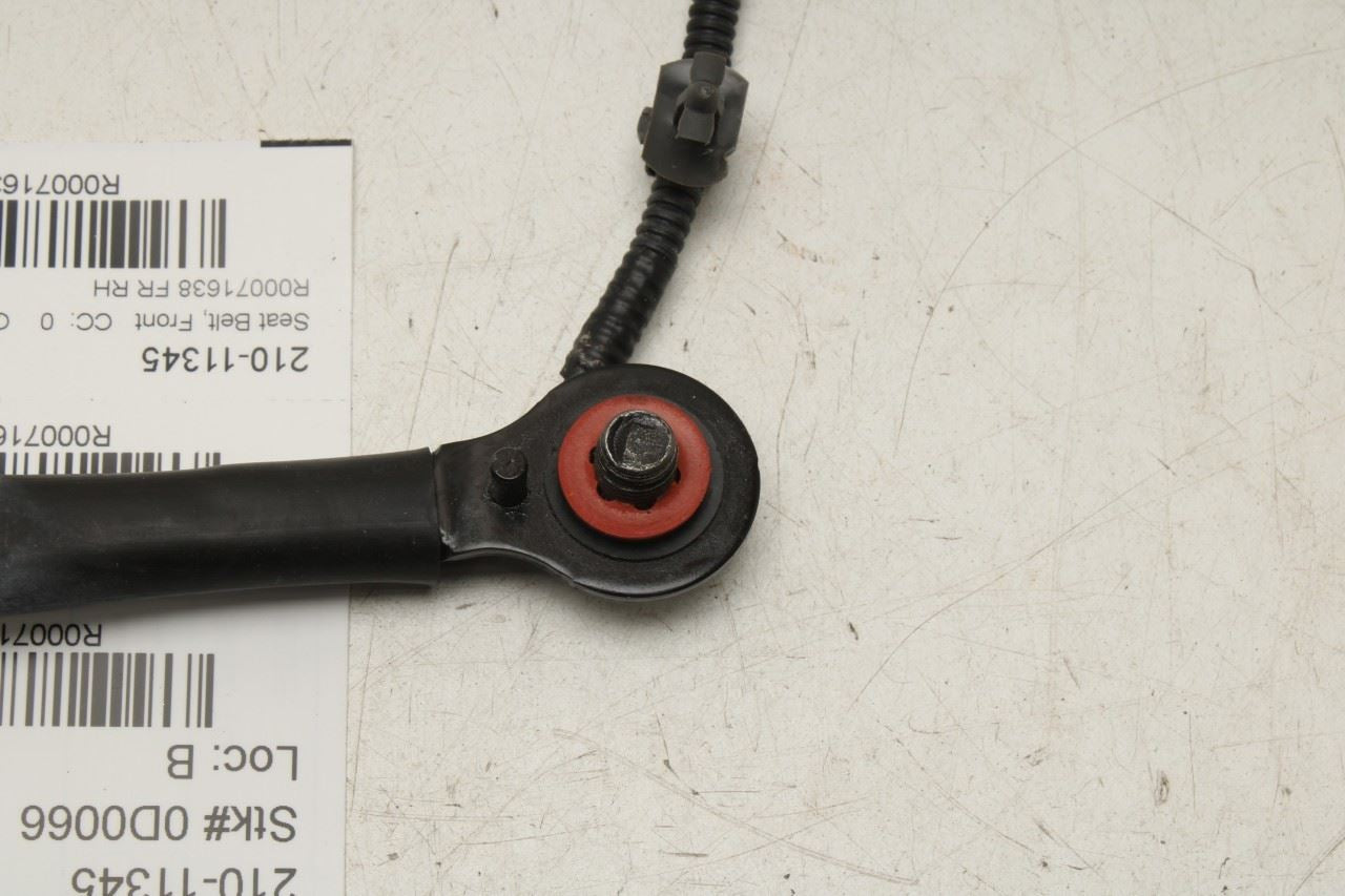 2023-25 Kia Sportage Hybrid EX 1.6L Front Seat Passenger Right Side Belt Buckle - Alshned Auto Parts