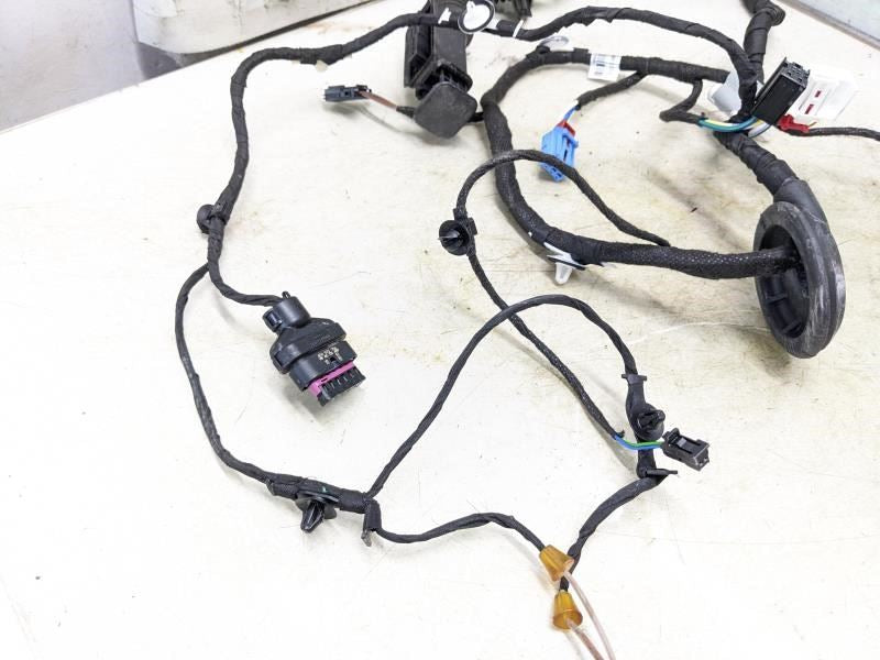 2018-2024 Audi S5 Rear Left Driver Side Door Wire Wiring Harness 8W8971687E OEM - Alshned Auto Parts