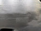2019-2024 Ram 1500 Big Horn Crew Cab Rear Right Side Door Trim Panel 6SL341X7AA8
