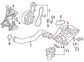 2022-2024 Honda Civic Sport 2.0L Thermostat Housing 19321-64S-A00 OEM - Alshned Auto Parts
