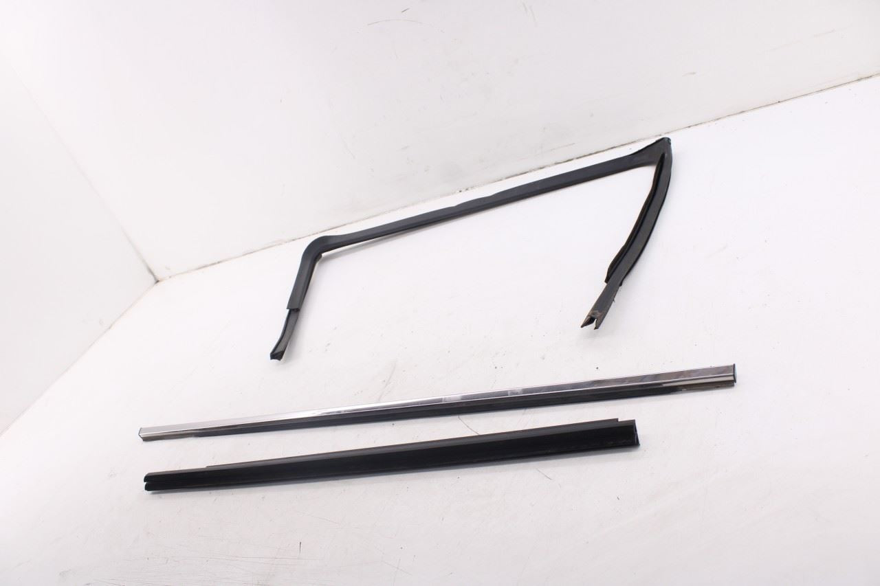 2010-20 Dodge Grand Caravan SXT Rear Left Door Window Run Channel Trim Belt Set10