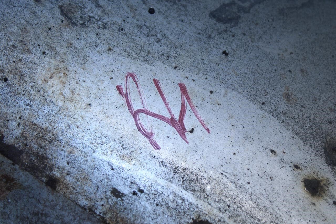 2019-2025 Nissan Altima SL 2.5L FWD Rear Right Exhaust Muffler 20100-6CA2A OEM - Alshned Auto Parts