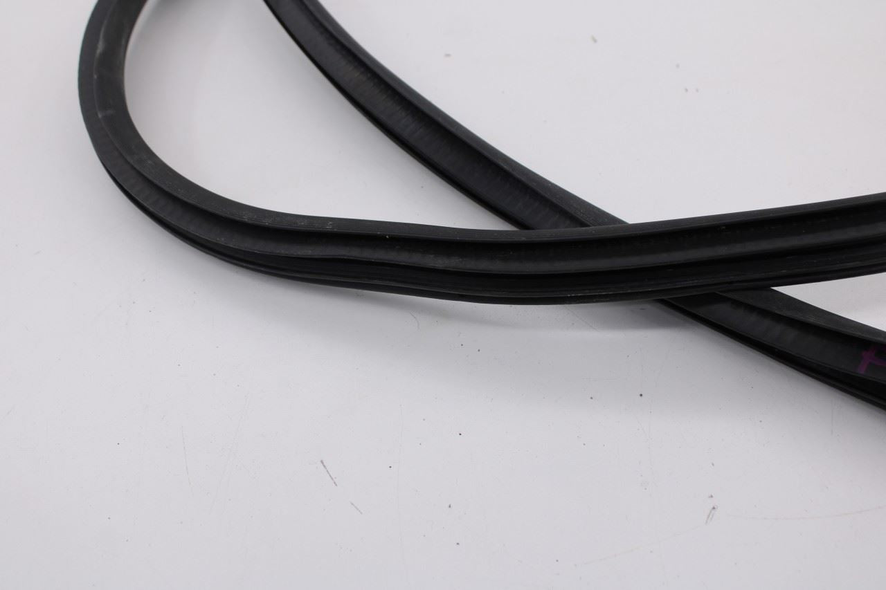 2019-2026 Ram 1500 Big Horn Front Left Side Door Weatherstrip On Body 68402032AA8