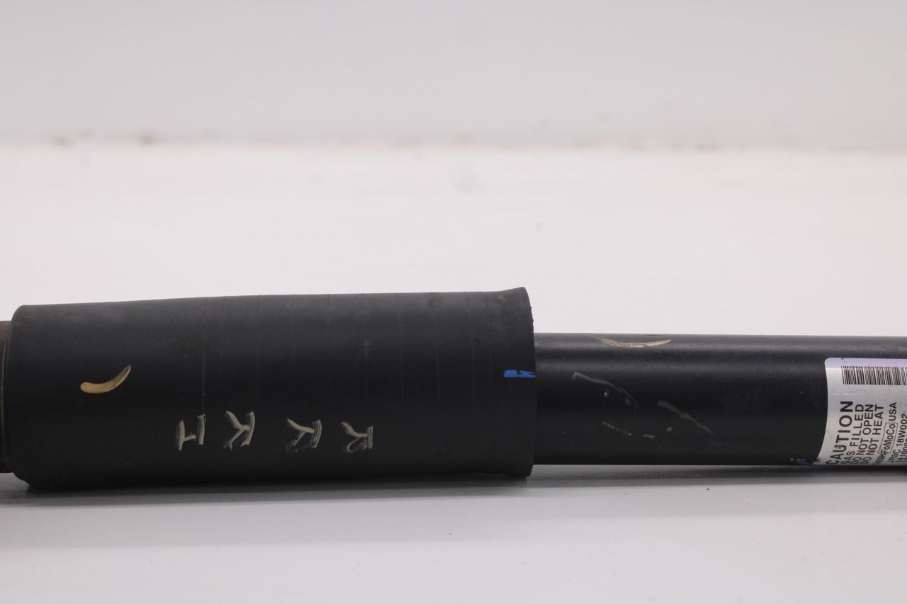 2018-26 Ford Mustang GT 5.0L RWD Rear Suspension Right Side Shock Strut Absorber - Alshned Auto Parts