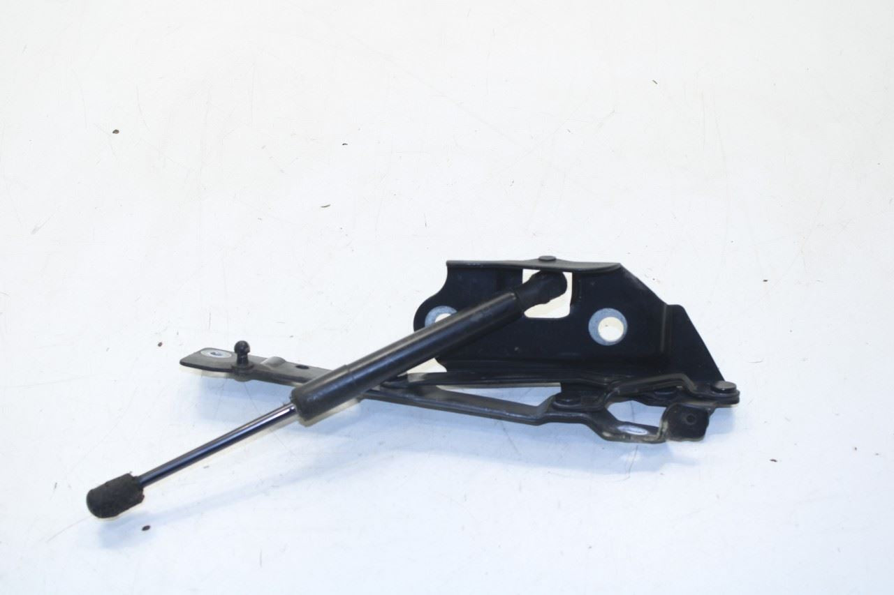 11-23 Dodge Challenger SXT RR RH and LH Trunk Deck Lid Hinge Set w/ Lift Struts - Alshned Auto Parts