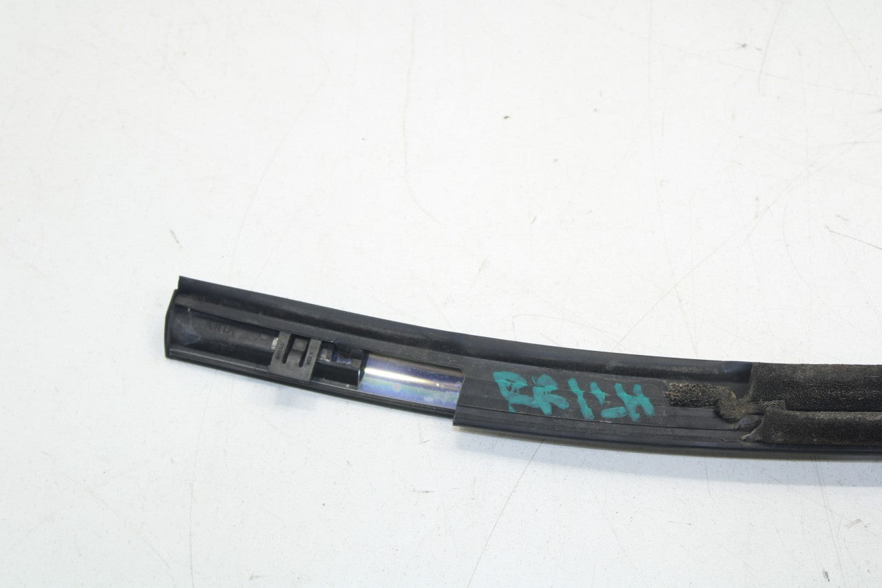 2015-2019 Nissan Murano Rear Left Door Window Run Channel w/ Belt Seal Molding - Alshned Auto Parts