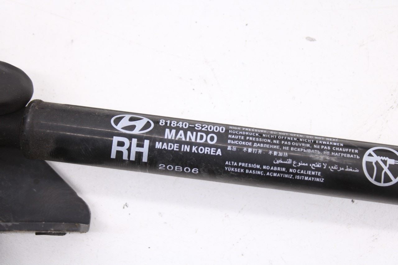 19-23 Hyundai Santa Fe SEL Rear Right and Left Liftgate Lift Support 81840-S2000 - Alshned Auto Parts