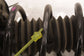 2023-26 Acura Integra A-Spec FWD Front Suspension RH Shock Strut Absorber *ReaD* - Alshned Auto Parts