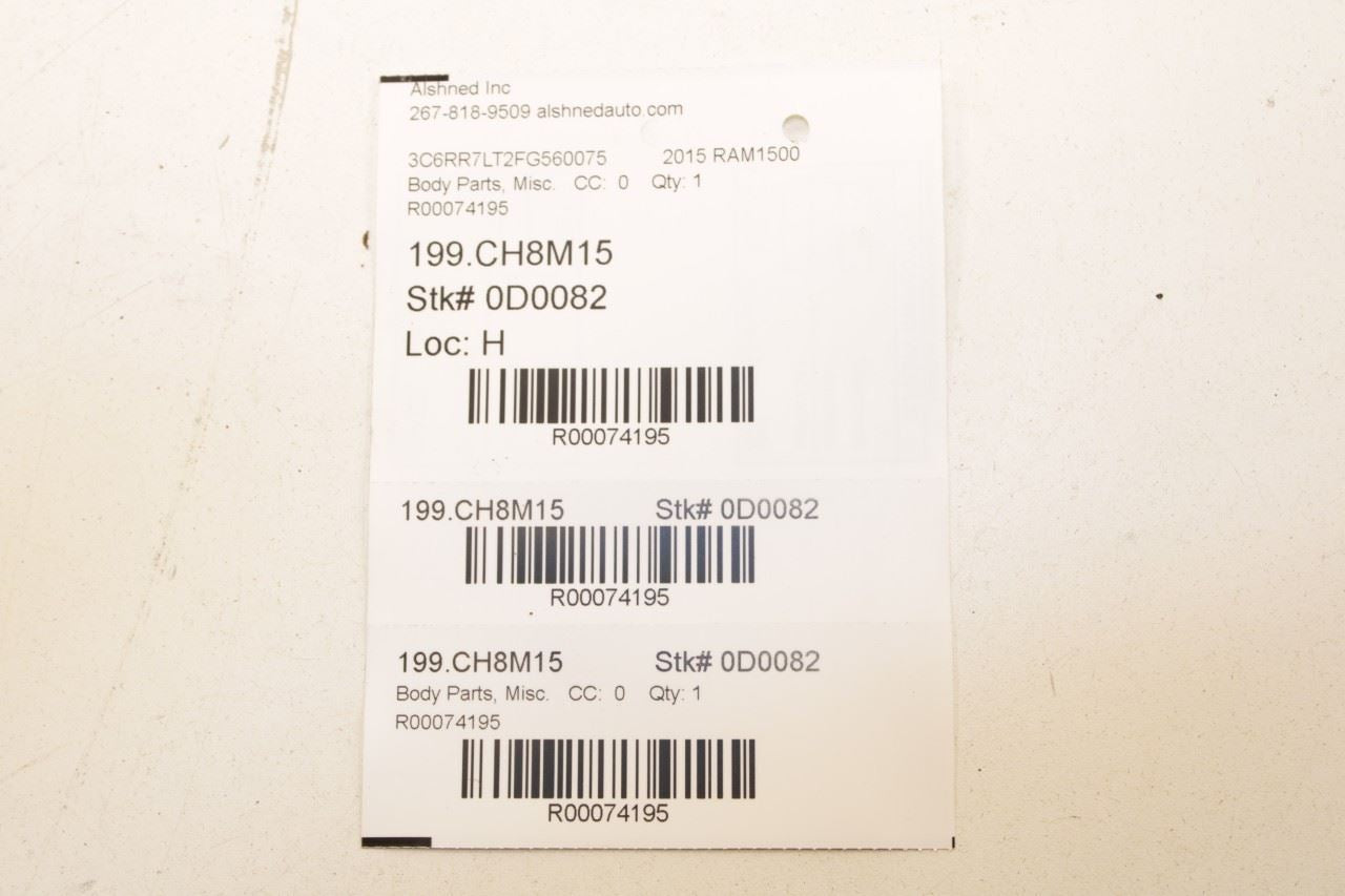 2012-18 Ram 1500 Big Horn Rear Left Door Run Channel w/ Belt Inner Weatherstrip - Alshned Auto Parts